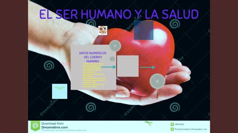 El Ser Humano Y La Salud By Angie Giraldo
