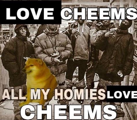 Love Cheems Love Cheems Ifunny