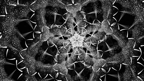Black And White Fractal Art Shapes Intersection Abstraction Hd Abstract