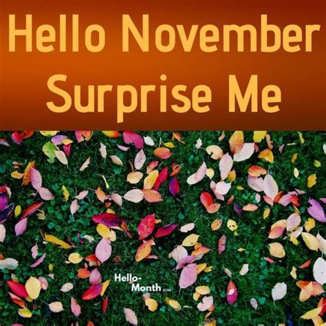 Hello November Surprise Me Hello November Hello July November Month