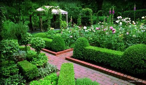 Hedge Formal Rose Garden Formal Garden Pinterest