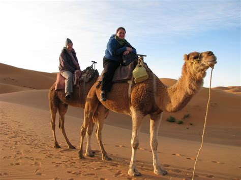 See how logging is used. Camel Ride | Photo