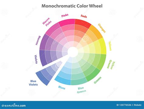 Monochromatic Color Wheel Color Scheme Theory Isolated Stock Vector
