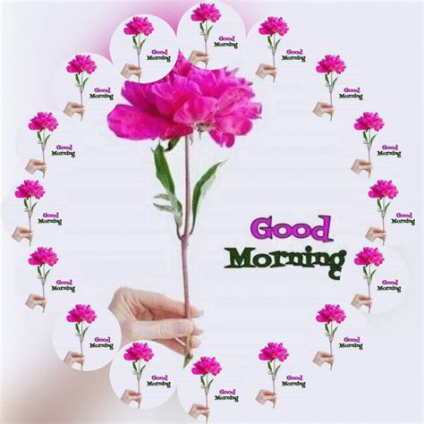 Good Morning Animated Images Free Download Good Morning  Image For