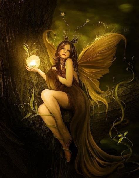 Looks Cool Fantasy In 2019 Fairy Art Beautiful Fairies Fairy Pictures