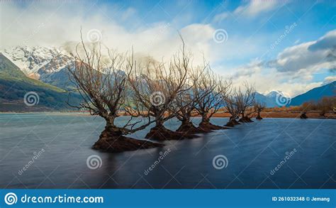 The Iconic Willow Trees Of Glenorchy Taken During Sunrise At Glenorchy