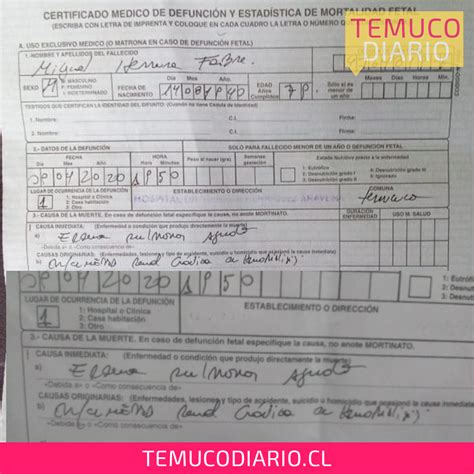 España comienza hoy a emitir el certificado covid digital ue, adelantándose 20 días al momento el españa ha comenzado hoy a emitir el certificado covid digital de la ue a todos los ciudadanos. Denuncian que personas mueren con covid-19 y no aparece en ...