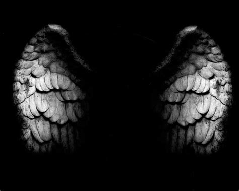 Are you searching for wings png images or vector? HQ Wallpapers: Angel Wings Wallpapers