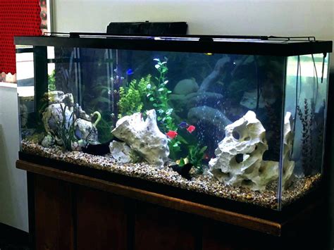 12 Best 55 Gallon Fish Tank And Aquarium Kits Reviews 2020