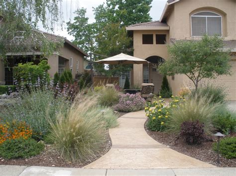 Drought Tolerant Landscape With Courtyard Feel Contemporary