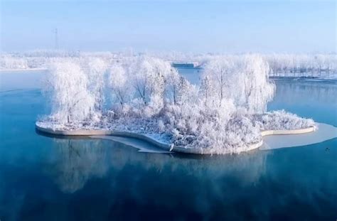 Stunning Drone Footage Showcases Incredible Frost Flowers On Frozen