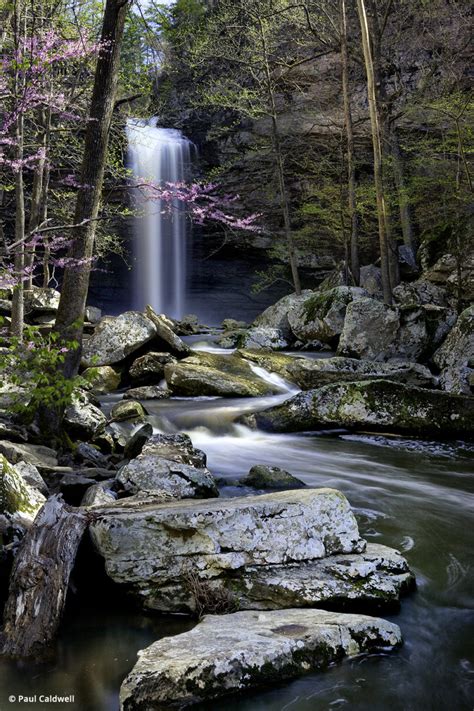 No booking fees · 24/7 customer service · free cancellation Cedar Falls, Petit Jean State Park, Arkansas - Outdoor ...