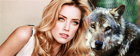 Werewolf Amber Heard Amber Heard Hot Amber Heard Beauty