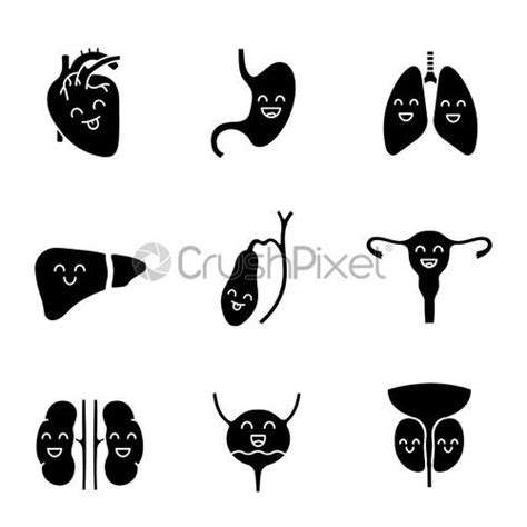 Human Internal Organs Detailed Icons Set Stock Vector Art Hot Sex Picture