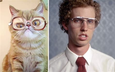 10 Incredible Cats That Look Like Famous People Page 5 Of 5