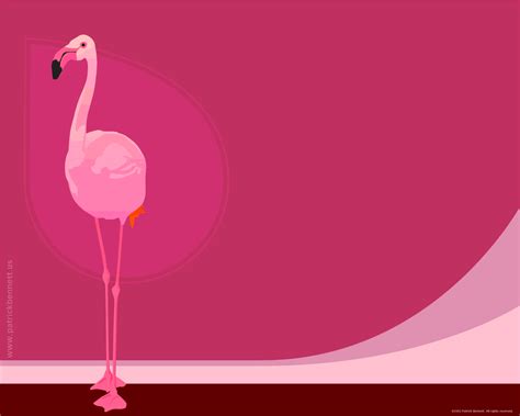 46 Free Pink Flamingo Computer Wallpaper Wallpapersafari