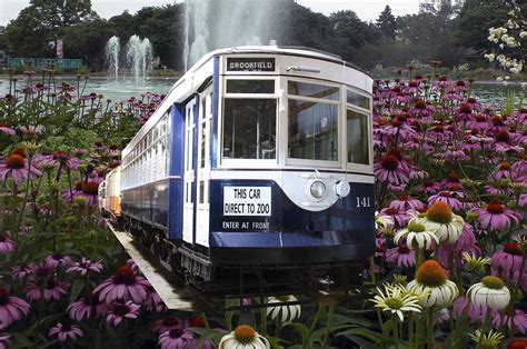 Trains Brookfield Zoo Trolley Car 141 Photograph By Thomas Woolworth