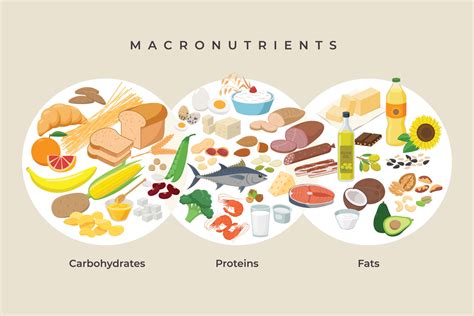 Top 49 Most Abundant Carbohydrate In Animal World