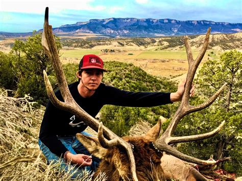 Colorado Archery Elk Hunt Quality Hunts