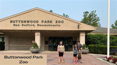 A Visit To Buttonwood Park Zoo Youtube