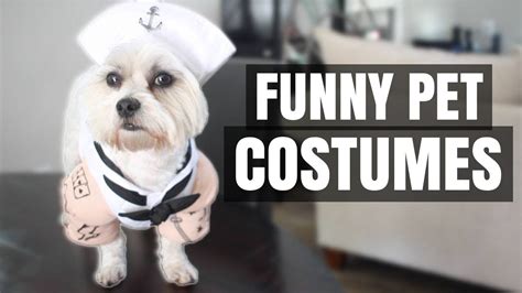 My Dog Trying On Halloween Costumes 8 Funny Pet Costumes 2017 Youtube