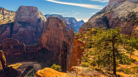 Zion National Park Tour Vip Grand Canyon Tours