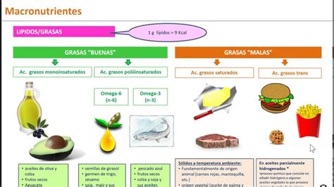 There are three principal classes of macronutrients: equilibrio alimentario 6 que comemos composición de los alimentos macronutrientes - YouTube