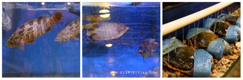 Maybe you would like to learn more about one of these? Pondok Kampoeng Nelayan Surabaya - Food, Travel and ...