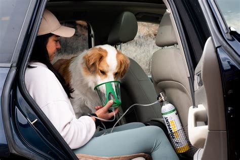 Protect Your Pets Health With The Purevent Pet Oxygen Mask Pawprint