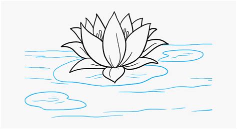 How To Draw A Lily Pad Flower Easy These Flowers Are Perfect If You