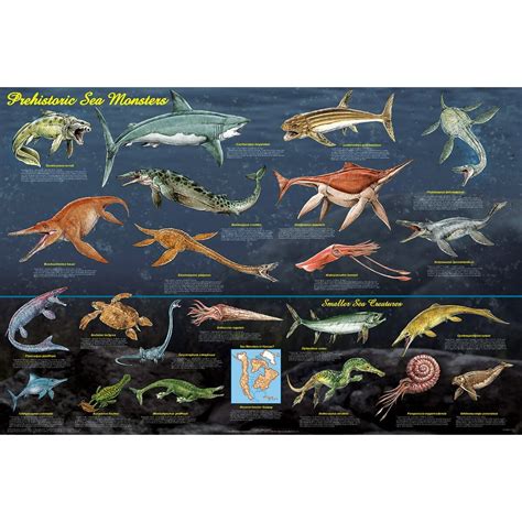 Prehistoric Sea Monsters Educational Poster 365x245 Laminated