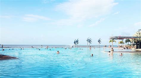 Find the perfect cairns lagoon stock photo. The best things to do in Cairns - Australia Backpackers Guide