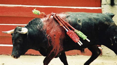 One of the major requirements for getting the true ending is beating the final boss the normal way, and then rewinding when the option is presented to you. Petition · End All Bullfighting In Spain. · Change.org