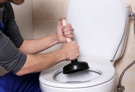 What Causes A Toilet To Overflow A Detailed Guide Estilo Tendances