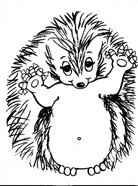 Forest coloring pages let kids check out all the trees, plants, and animals found in the forest. Malvorlagen fur kinder - Ausmalbilder Waldtiere kostenlos ...