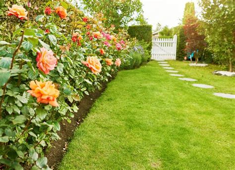 For extra even coverage, spread half. Best Ways to Plant Grass Seed | Kellogg Garden Organics™