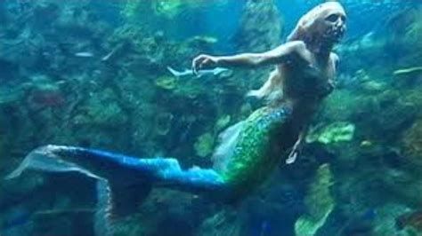 Real Mermaid Caught On Video Real Mermaid 2013 Youtube