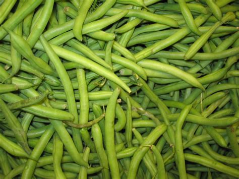 We did not find results for: How to freeze your garden goodies so you can enjoy them ...