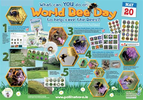World Bee Day 2020 All Ireland Pollinator Plan