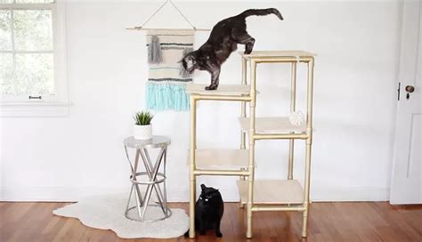 4 Diy Pvc Cat Tree Plans You Can Build Today With Pictures Catster