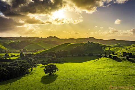 Beautiful Landscape Photos In Waiheke Island New Zealand