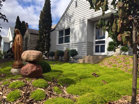The surprising story behind a quirky St. Paul yard | MPR News
