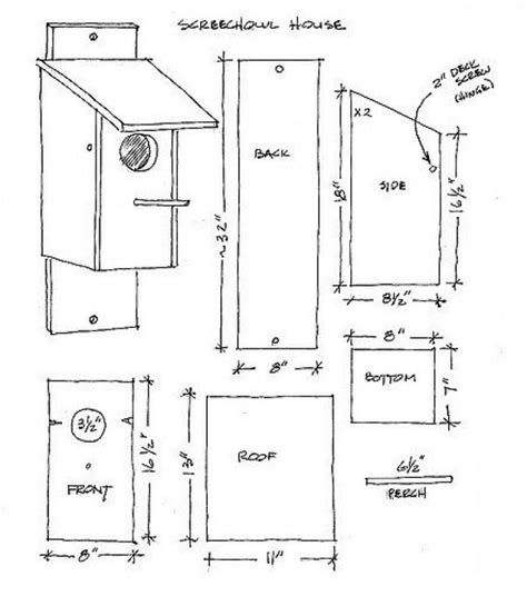 Sounds calls screeches and other noises of the barn youtube screech owl. Screeh Owl house plans | Flickr - Photo Sharing! # ...