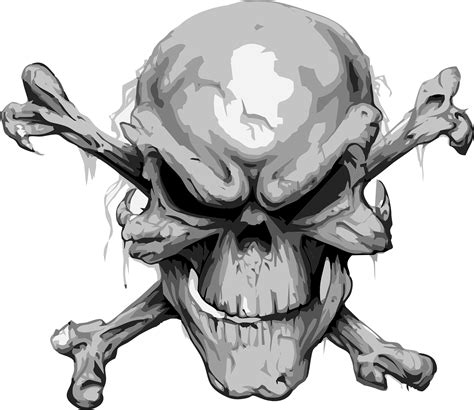 Vector Skull Graphic On Behance