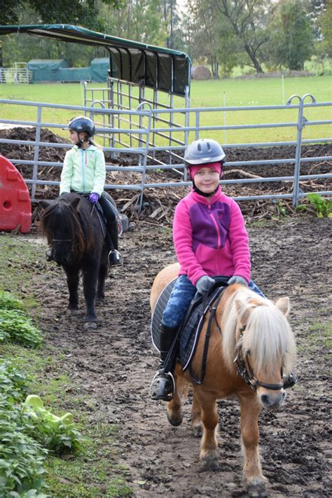 Hufschlagfiguren und lektionen sind kein selbstzweck, sondern finden verwendung bei der ausbildung des pferdes und beim täglichen training. Ponyhof Ettersdorf - RA9 Püfung Oktober