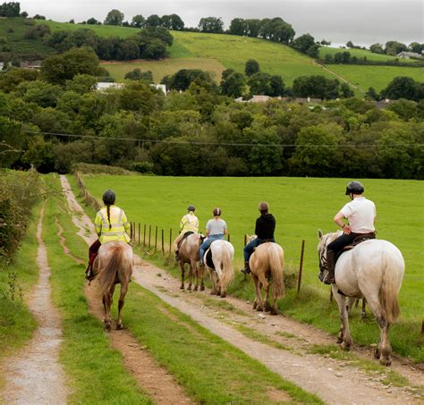 Horse Riding Things To Do Destination Killarney Destination Killarney