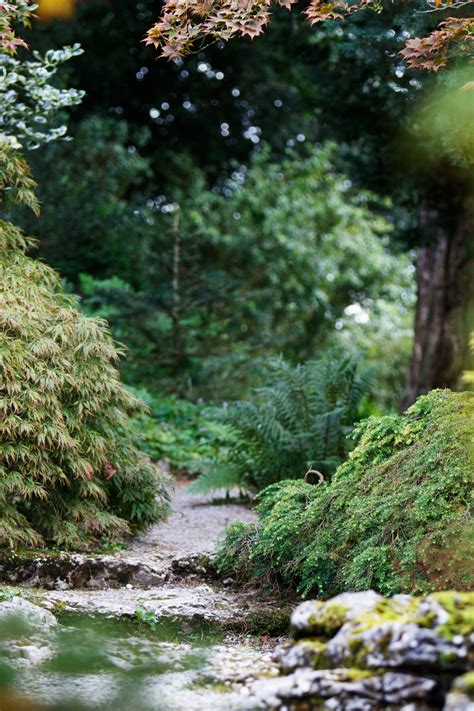 Secret Path Through Forest Free Stock Photo Public Domain Pictures