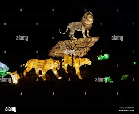 Kansas City, Missouri - December 14, 2023: Glowild Christmas Lights at