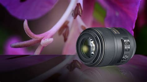 Camera Lens For Close Up Shots In 2020 Macro Lens Best Macro Lens