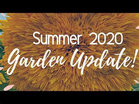 00:00 hearing tornado siren in lobby 00:39 earlier that day 02:13 storm chaser vehicle spotted 02:32 drive near. June Garden Update | Post Tornado | June Vlog - YouTube